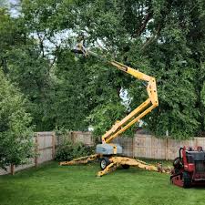 Reliable East Canton, OH Tree Care Services Solutions